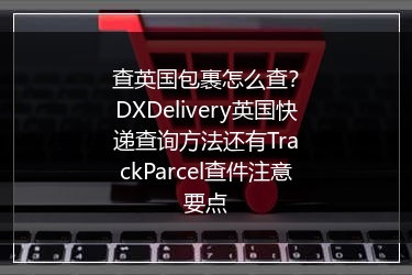 查英国包裹怎么查？DXDelivery英国快递查询方法还有TrackParcel查件注意要点