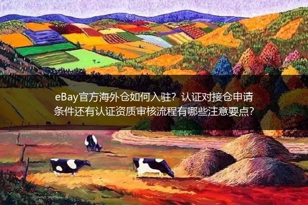 eBay官方海外仓如何入驻？认证对接仓申请条件还有认证资质审核流程有哪些注意要点？