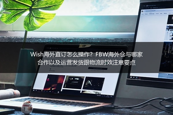 Wish海外直订怎么操作？FBW海外仓与哪家合作以及运营发货跟物流时效注意要点