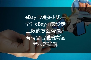 eBay店铺多少钱一个？eBay拍卖设定上限该怎么操作还有精品店铺拍卖运营技巧详解