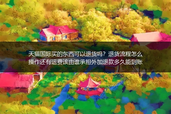 天猫国际买的东西可以退货吗？退货流程怎么操作还有运费该由谁承担外加退款多久能到账
