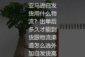 最终标题：亚马逊自发货用什么物流？出单后多久才能到货跟物流渠道怎么选外加自发货高级玩法解析