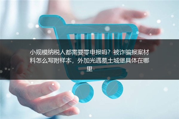小规模纳税人都需要零申报吗？被诈骗报案材料怎么写附样本，外加光遇墓土城堡具体在哪里