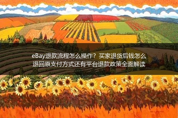 eBay退款流程怎么操作？买家退货后钱怎么退回原支付方式还有平台退款政策全面解读