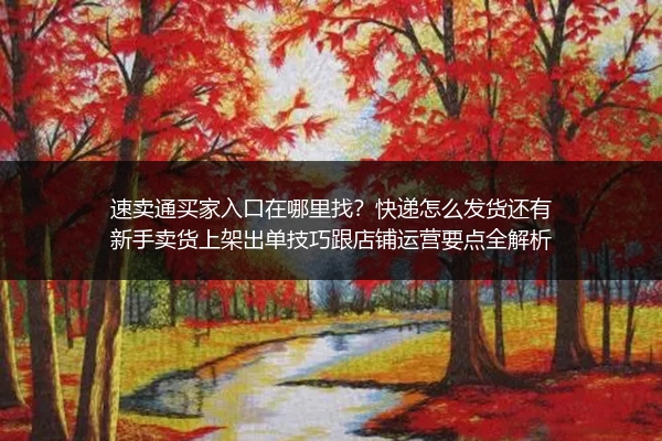 速卖通买家入口在哪里找？快递怎么发货还有新手卖货上架出单技巧跟店铺运营要点全解析