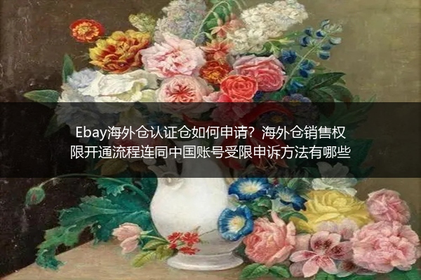 Ebay海外仓认证仓如何申请？海外仓销售权限开通流程连同中国账号受限申诉方法有哪些