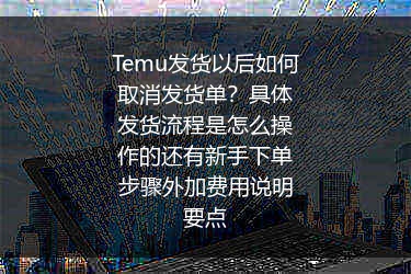 Temu发货以后如何取消发货单？具体发货流程是怎么操作的还有新手下单步骤外加费用说明要点