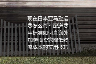 现在日本亚马逊运费怎么算？配送费用标准如何查询外加跨境卖家降低物流成本的实用技巧