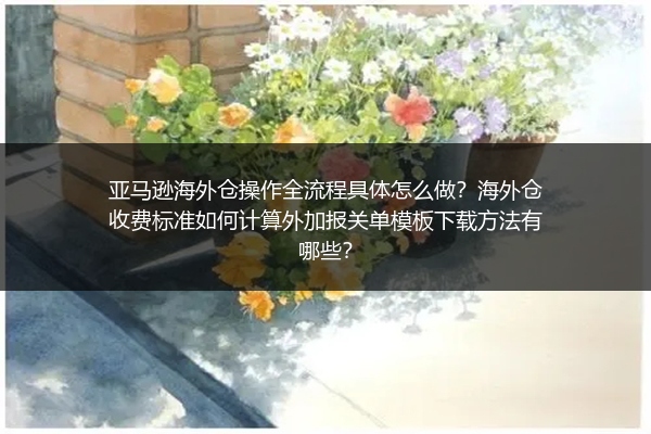 亚马逊海外仓操作全流程具体怎么做？海外仓收费标准如何计算外加报关单模板下载方法有哪些？
