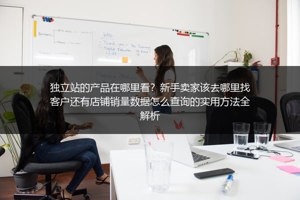 独立站的产品在哪里看？新手卖家该去哪里找客户还有店铺销量数据怎么查询的实用方法全解析