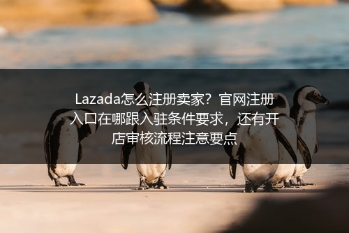 Lazada怎么注册卖家？官网注册入口在哪跟入驻条件要求，还有开店审核流程注意要点