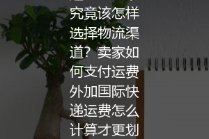 速卖通买家究竟该怎样选择物流渠道？卖家如何支付运费外加国际快递运费怎么计算才更划算