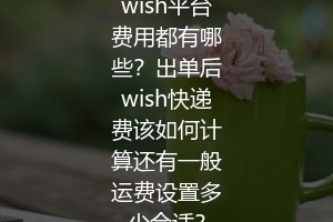 wish平台费用都有哪些？出单后wish快递费该如何计算还有一般运费设置多少合适？