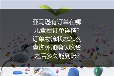 亚马逊有订单在哪儿查看订单详情？订单物流状态怎么查询外加确认收货之后多久能到账？