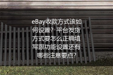 eBay收款方式该如何设置？平台发货方式要怎么正确填写跟功能设置还有哪些注意要点？