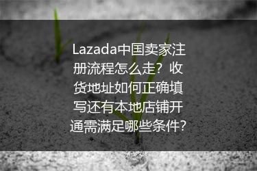 Lazada中国卖家注册流程怎么走？收货地址如何正确填写还有本地店铺开通需满足哪些条件？
