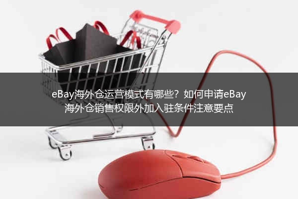 eBay海外仓运营模式有哪些？如何申请eBay海外仓销售权限外加入驻条件注意要点