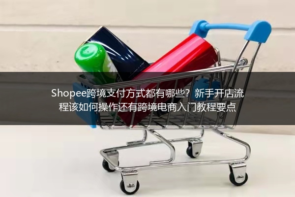 Shopee跨境支付方式都有哪些？新手开店流程该如何操作还有跨境电商入门教程要点