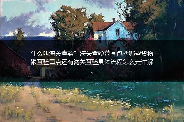 什么叫海关查验？海关查验范围包括哪些货物跟查验重点还有海关查验具体流程怎么走详解。