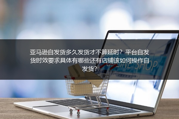 亚马逊自发货多久发货才不算延时？平台自发货时效要求具体有哪些还有店铺该如何操作自发货？