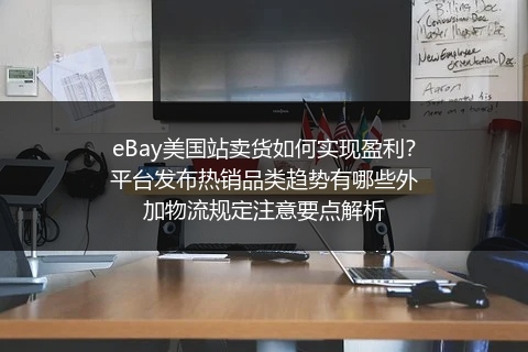 eBay美国站卖货如何实现盈利？平台发布热销品类趋势有哪些外加物流规定注意要点解析