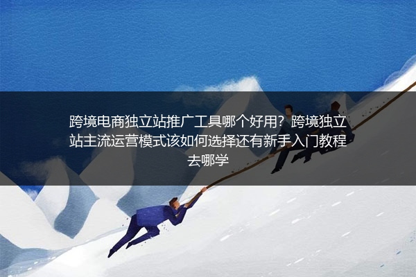 跨境电商独立站推广工具哪个好用？跨境独立站主流运营模式该如何选择还有新手入门教程去哪学