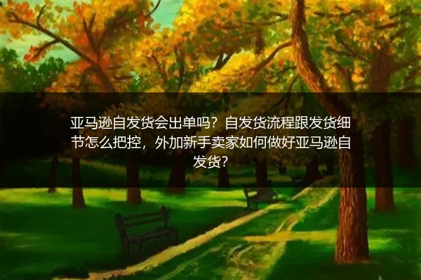 亚马逊自发货会出单吗？自发货流程跟发货细节怎么把控，外加新手卖家如何做好亚马逊自发货？