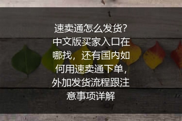 速卖通怎么发货？中文版买家入口在哪找，还有国内如何用速卖通下单，外加发货流程跟注意事项详解