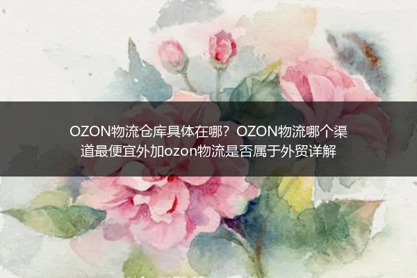 OZON物流仓库具体在哪？OZON物流哪个渠道最便宜外加ozon物流是否属于外贸详解