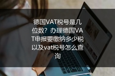 德国VAT税号是几位数？办理德国VAT申报要缴纳多少税以及vat税号怎么查询