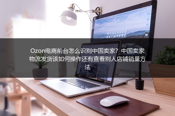 Ozon电商前台怎么识别中国卖家？中国卖家物流发货该如何操作还有查看别人店铺销量方法