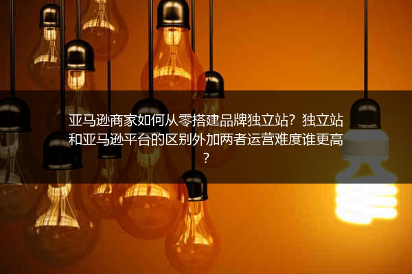 亚马逊商家如何从零搭建品牌独立站？独立站和亚马逊平台的区别外加两者运营难度谁更高？