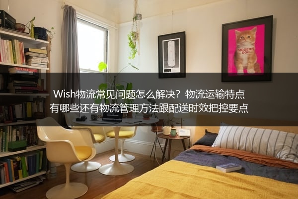 Wish物流常见问题怎么解决？物流运输特点有哪些还有物流管理方法跟配送时效把控要点