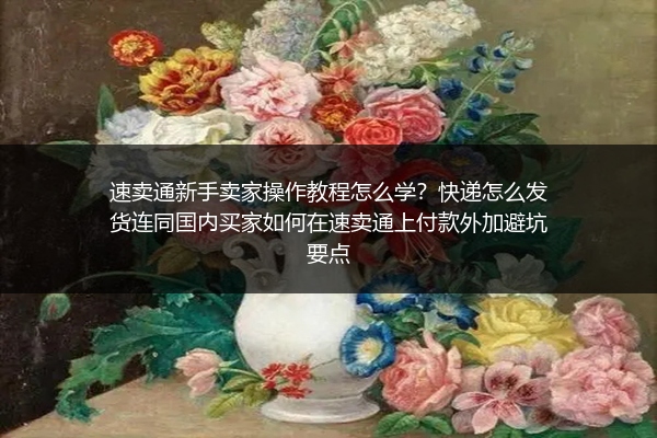 速卖通新手卖家操作教程怎么学？快递怎么发货连同国内买家如何在速卖通上付款外加避坑要点