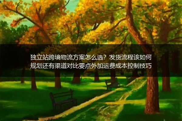 独立站跨境物流方案怎么选？发货流程该如何规划还有渠道对比要点外加运费成本控制技巧