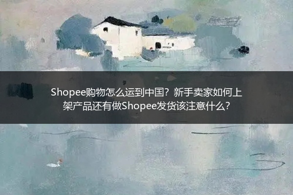 Shopee购物怎么运到中国？新手卖家如何上架产品还有做Shopee发货该注意什么？