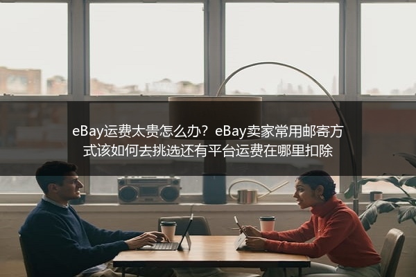 eBay运费太贵怎么办？eBay卖家常用邮寄方式该如何去挑选还有平台运费在哪里扣除