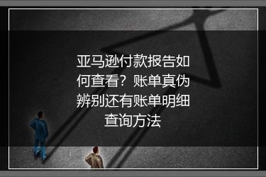亚马逊付款报告如何查看？账单真伪辨别还有账单明细查询方法
