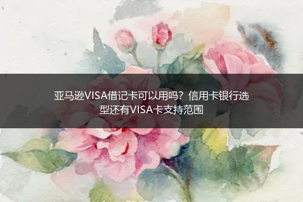亚马逊VISA借记卡可以用吗？信用卡银行选型还有VISA卡支持范围
