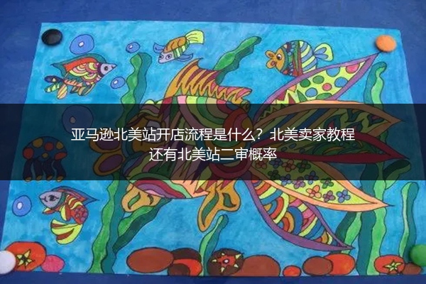 亚马逊北美站开店流程是什么？北美卖家教程还有北美站二审概率