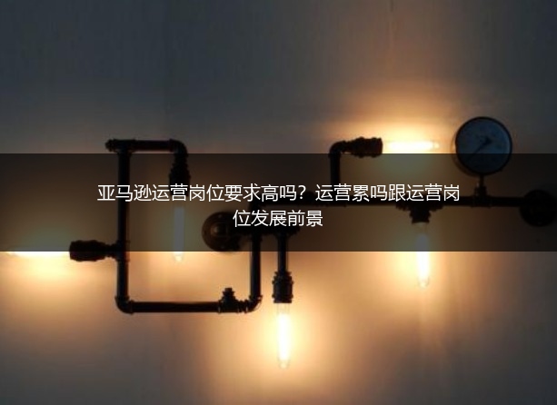 亚马逊运营岗位要求高吗？运营累吗跟运营岗位发展前景