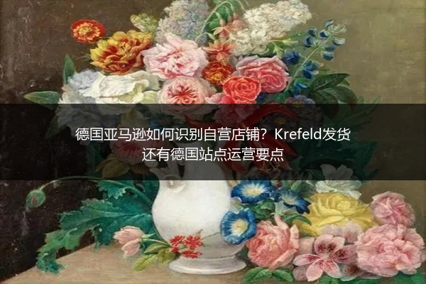 德国亚马逊如何识别自营店铺？Krefeld发货还有德国站点运营要点
